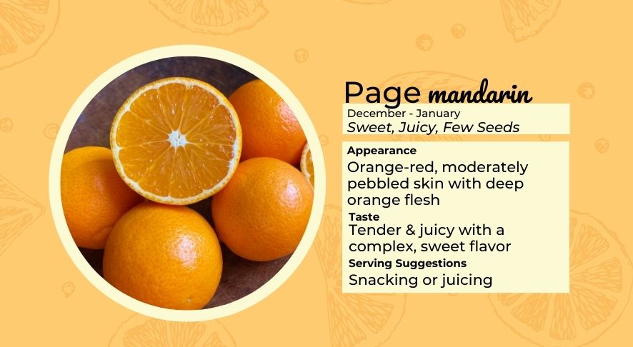 Page Mandarin Profile